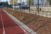 Zakończenie realizacji zieleni na skarpie przy boisku szkolnym, foto nr 3, Krzysztof Kowalski